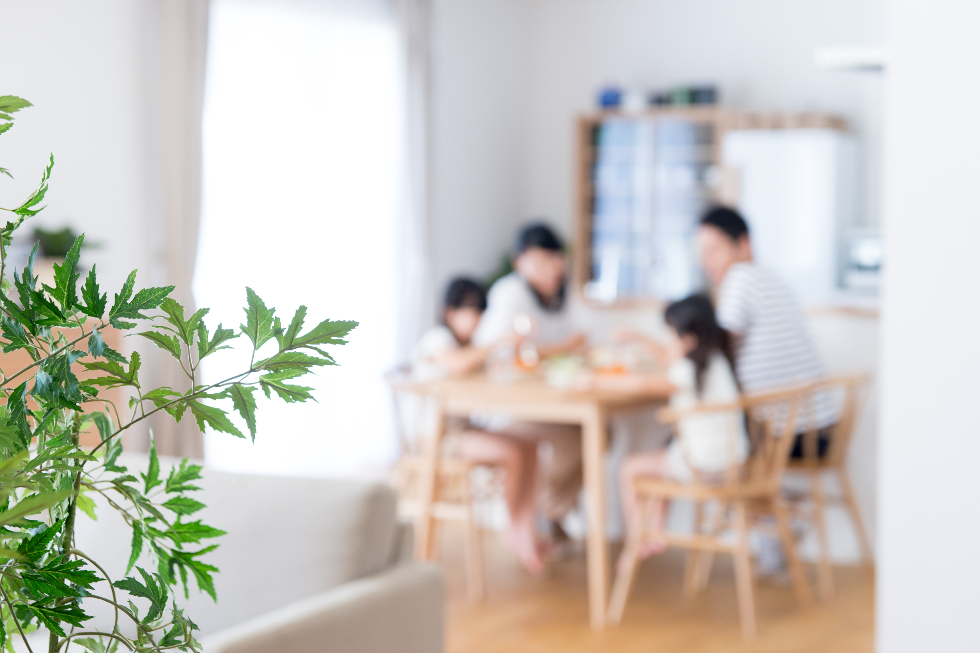 Nears Renovationの紹介写真_2枚目