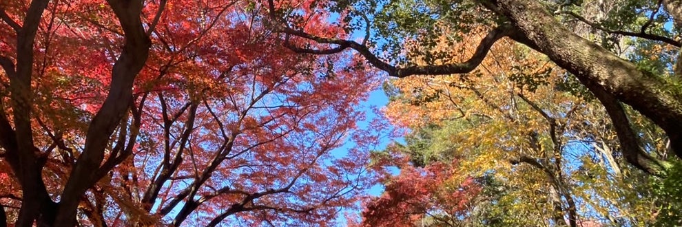 ネアーズリノベーションの画像