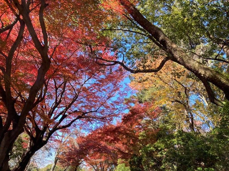 ネアーズリノベーションの画像